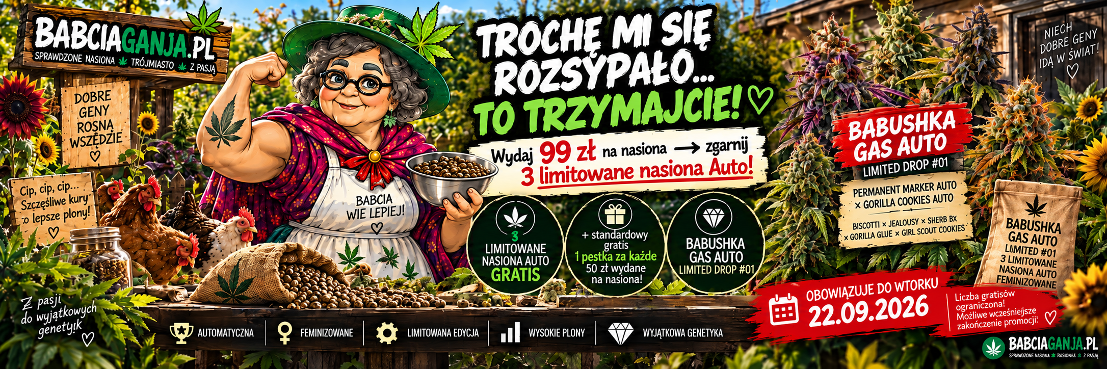 Babushka Gas Auto – 3 limitowane nasiona Auto gratis od 99 zł | BabciaGanja.pl