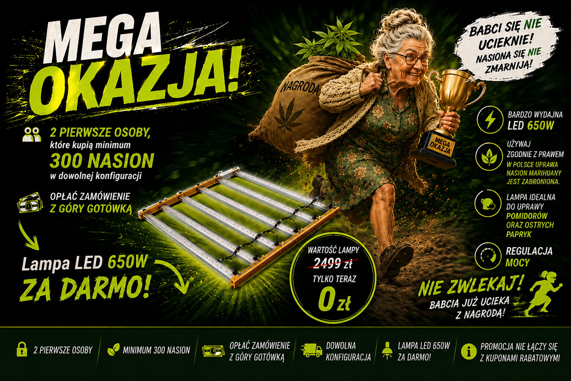 Baner reklamowy promocji: darmowa lampa LED 650W przy zakupie minimum 300 nasion i płatności z góry; obok grafika lampy LED i stylizowanej starszej kobiety z workiem oraz pucharem.