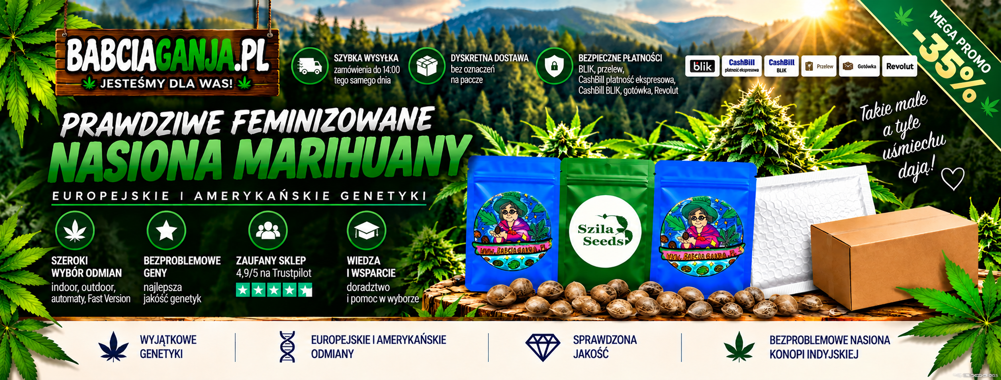 Nasiona marihuany Babcia Ganja – feminizowane odmiany i sprawdzone genetyki