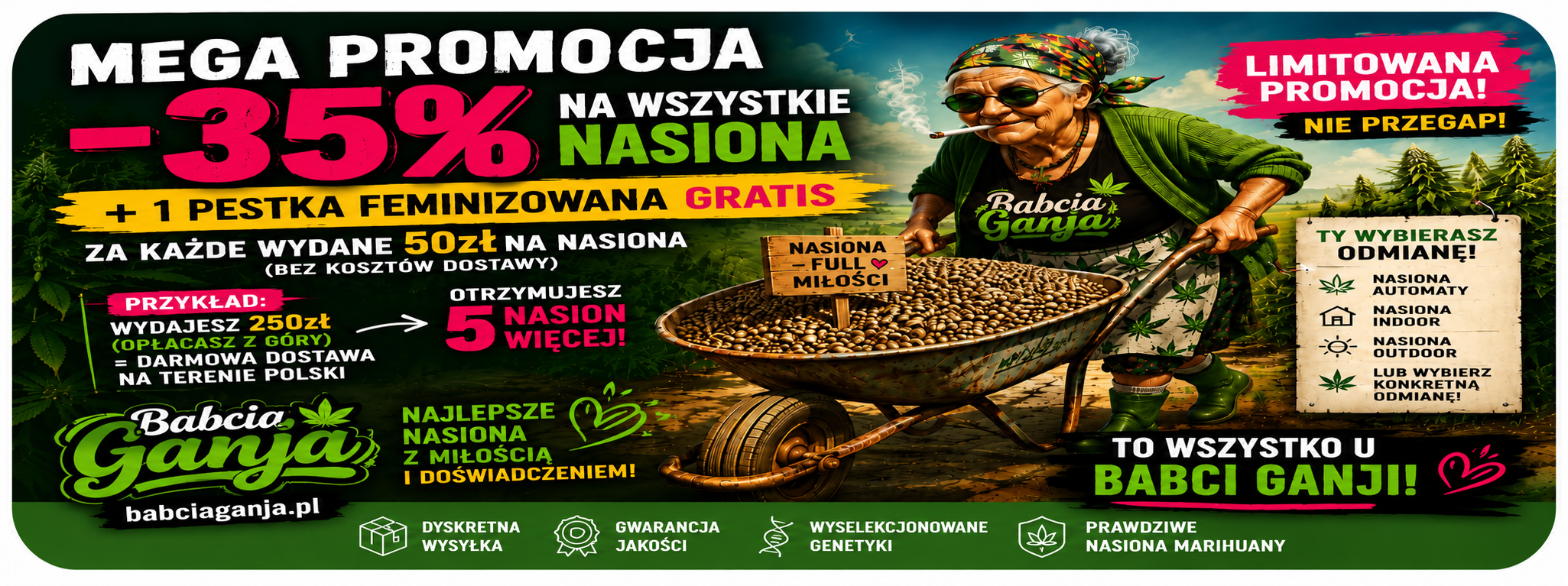 Babcia Ganja promocja -35% – 3 nasiona marihuany gratis przy zakupie za 150 zł