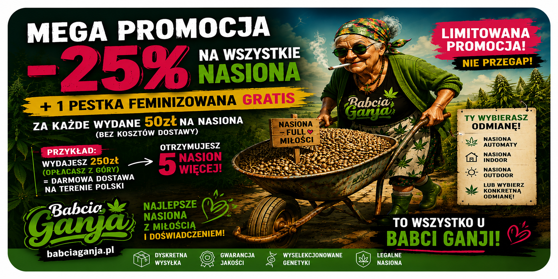 Uśmiechnięta Babcia Ganja pcha taczkę pełną nasion konopi. Baner reklamowy informujący o promocji -35% na nasiona marihuany oraz 1 nasionie feminizowanym gratis za każde wydane 50 zł.