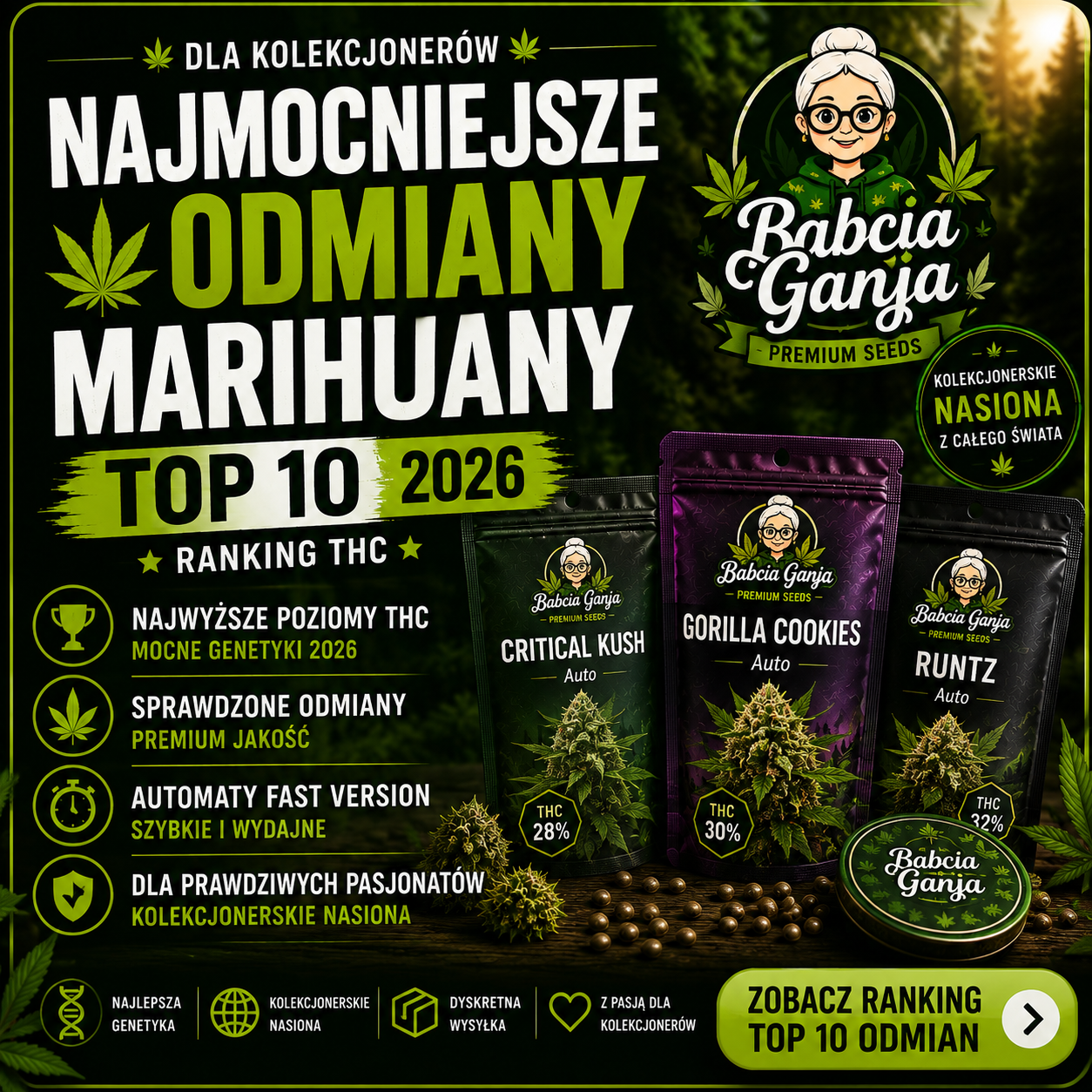 Najmocniejsze odmiany marihuany 2026 – ranking TOP 10 odmian o najwyższym potencjale THC