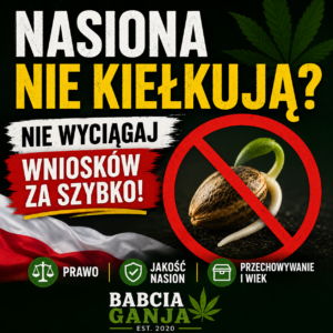 Nasiona konopi nie kiełkują – jakość nasion, przechowywanie i prawo w Polsce