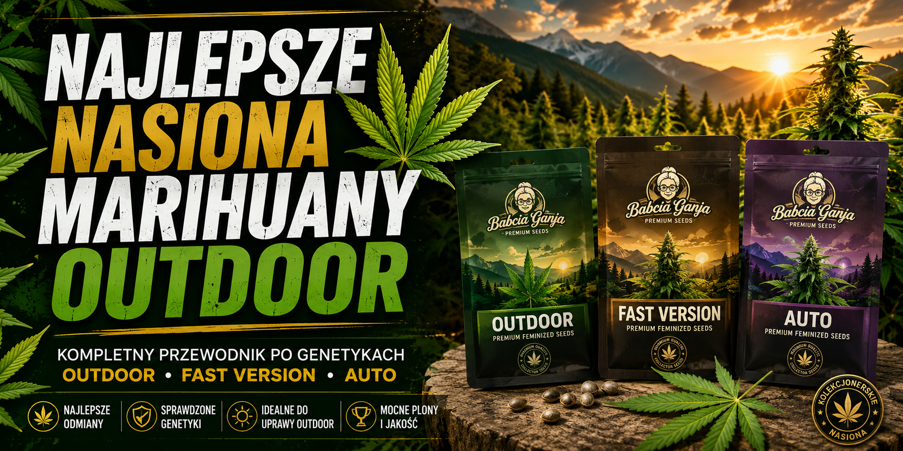Najlepsze nasiona marihuany outdoor – przewodnik po genetykach Outdoor, Fast Version i Auto