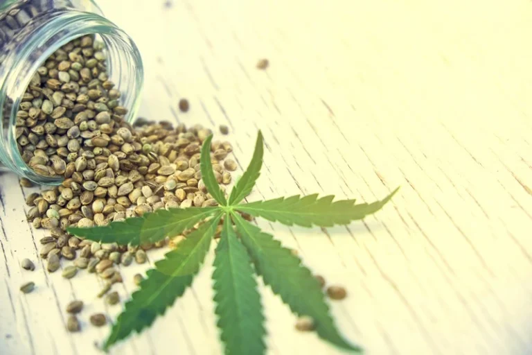 Nasiona konopi i poradnik wyboru sklepu z nasionami marihuany – poradnik zakupowy -jak wybrać sklep z nasionami marihuany.