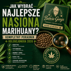 jak wybrać najlepsze nasiona marihuany – poradnik kolekcjonera nasion marihuany 2026