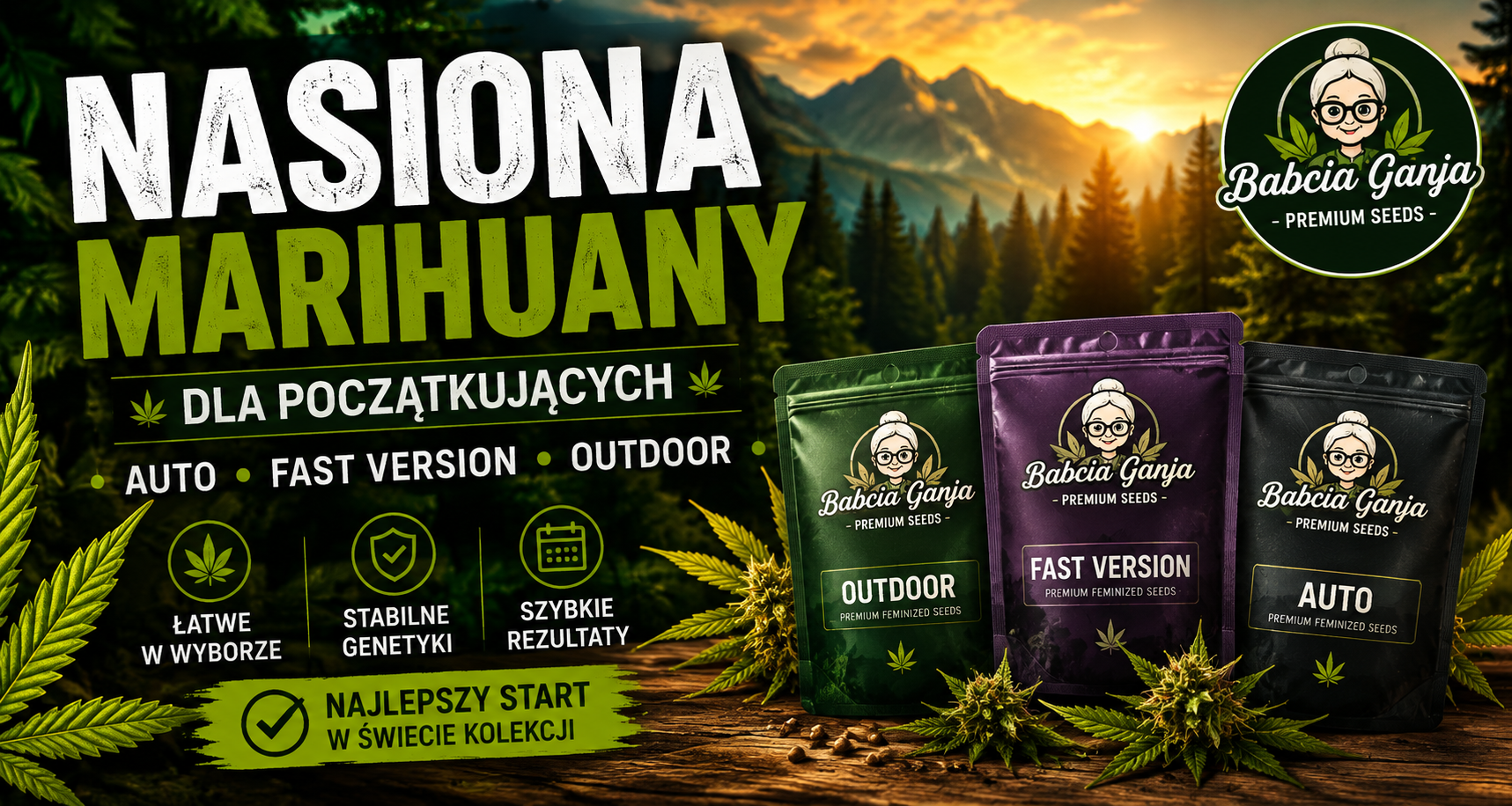 Nasiona marihuany dla początkujących – poradnik o odmianach Auto, Fast Version i Outdoor