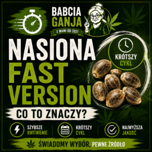 Nasiona Fast Version – czym są szybkie odmiany