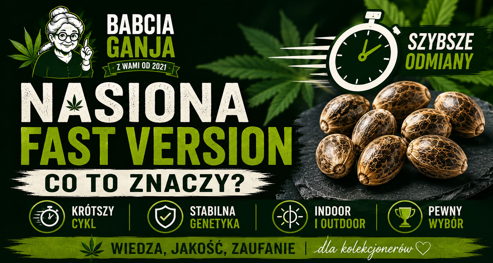 Nasiona Fast Version – szybkie odmiany fotoperiodyczne