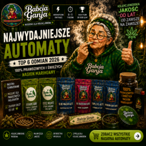 TOP 6 automatów 2026 – ranking genetyk Auto