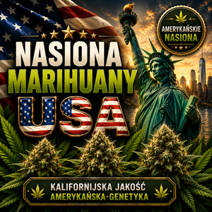 Amerykańskie nasiona marihuany z kalifornijską genetyką na tle Statuy Wolności i flagi USA