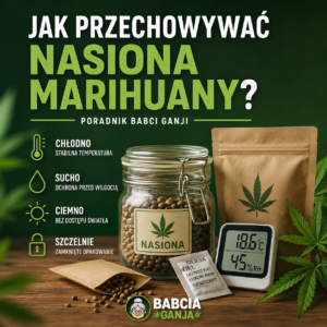 Jak przechowywać nasiona marihuany – poradnik Babcia Ganja