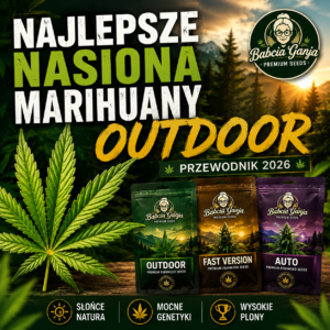 Miniatura artykułu o najlepszych nasionach marihuany outdoor i odmianach Fast Version oraz Auto
