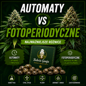 Nasiona automaty czy fotoperiodyczne – porównanie najważniejszych różnic