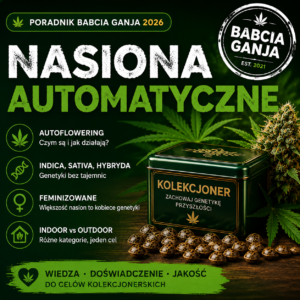 Jak działa autoflowering – mechanizm cechy Auto