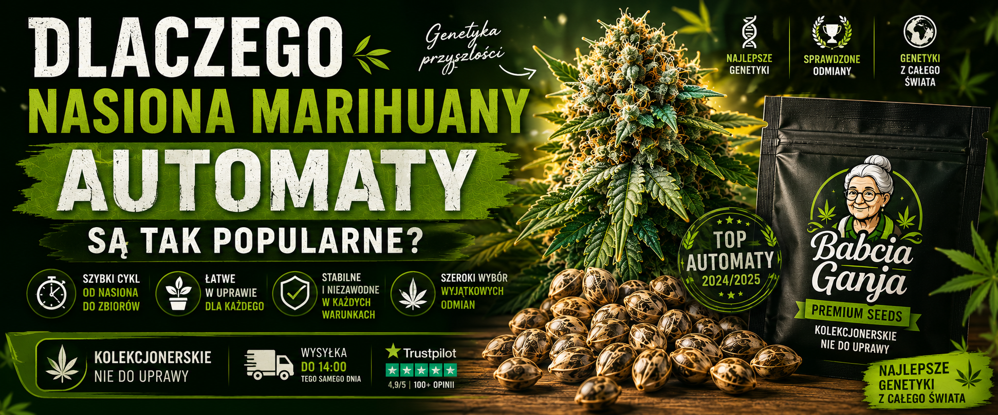 Nasiona marihuany automaty – dlaczego są popularne i najczęściej wybierane