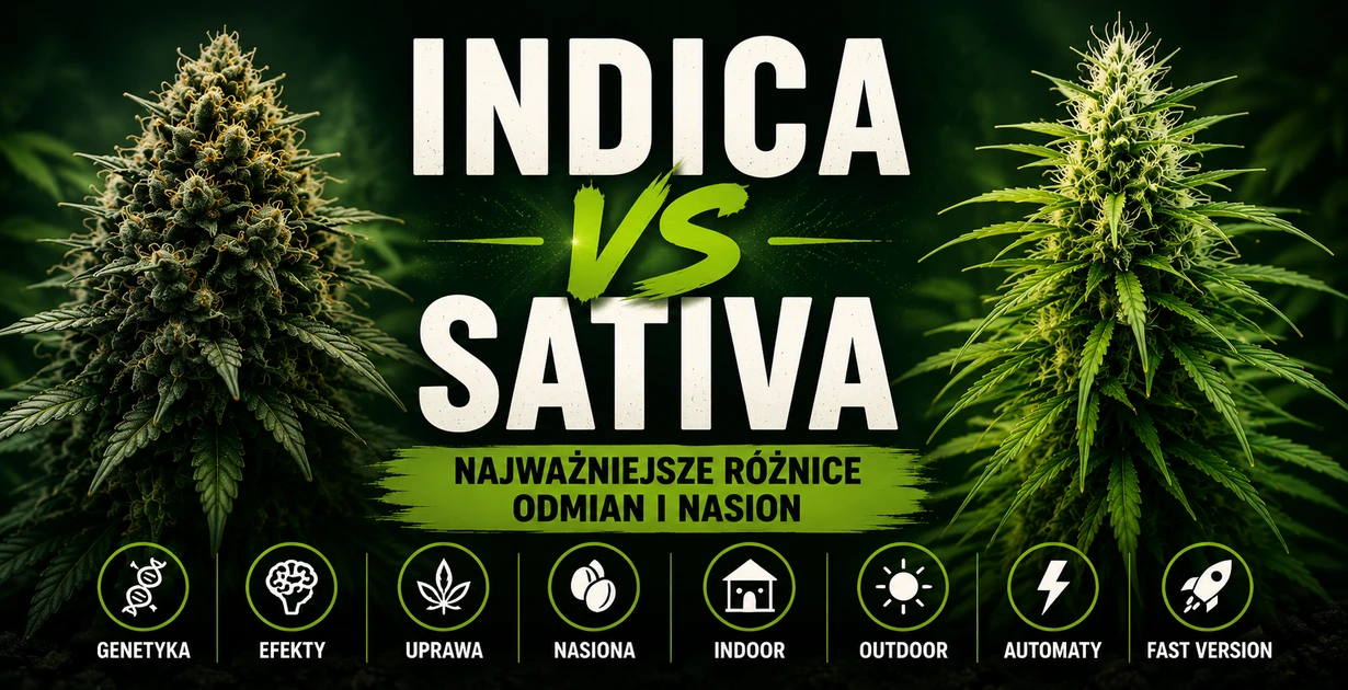 Porównanie odmian Indica i Sativa oraz kategorii nasion Indoor, Outdoor, Automaty i Fast Version.