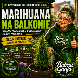Marihuana na balkonie 2026 – Babcia Ganja z kciukiem w górę na tle roślin konopi