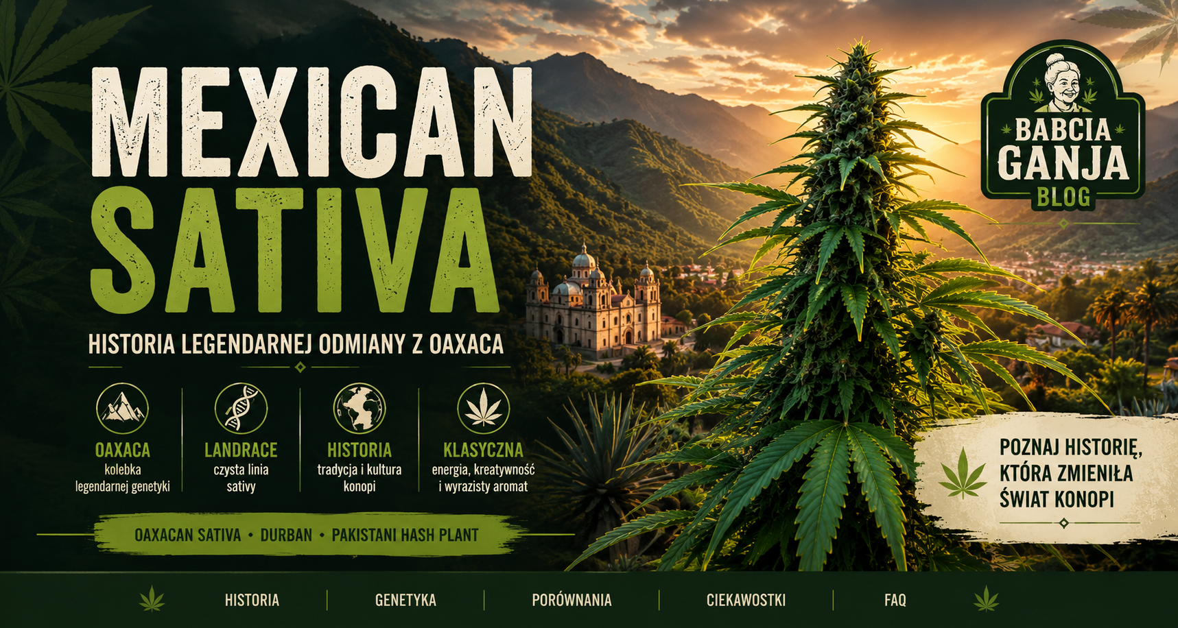 Baner przedstawiający Mexican Sativa na tle gór Oaxaca – historia klasycznej odmiany Sativa i jej wyjątkowej genetyki