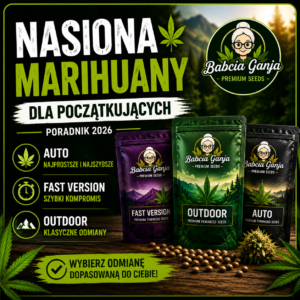 Najłatwiejsze nasiona marihuany dla początkujących – Auto, Fast Version i Outdoor
