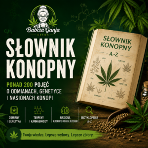 Miniatura słownika konopnego Babcia Ganja z pojęciami dotyczącymi odmian, genetyki i nasion marihuany