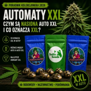Automaty XXL – nasiona Auto XXL Babcia Ganja