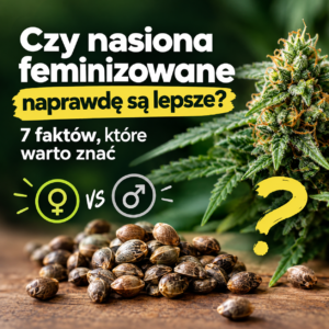 Nasiona feminizowane – 7 faktów, które warto znać