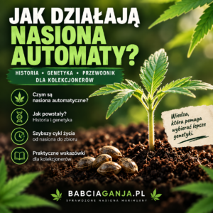 Jak działają nasiona automaty – historia autofloweringu