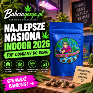 Najlepsze nasiona marihuany Indoor 2026 – TOP odmiany do domu