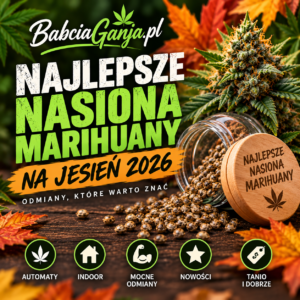 Najlepsze nasiona marihuany na jesień 2026 – BabciaGanja.pl
