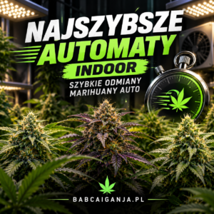 Najszybsze automaty indoor – szybkie odmiany marihuany Auto