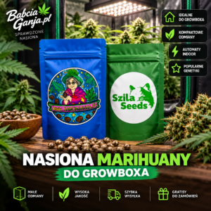 Nasiona marihuany do growboxa – odmiany Indoor i automaty
