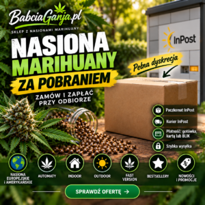 Nasiona marihuany za pobraniem – Paczkomat i kurier InPost