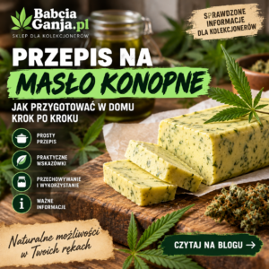 Przepis na masło konopne – informacje, historia i prawo w Polsce