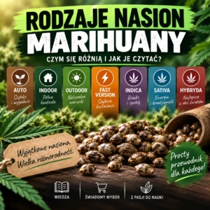 Rodzaje nasion marihuany – Auto, Indoor, Outdoor, Fast Version, Indica, Sativa i Hybryda