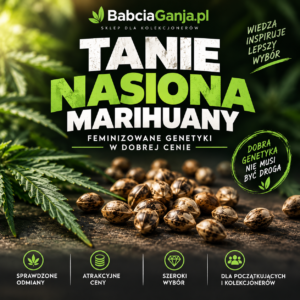 Tanie nasiona marihuany – feminizowane genetyki BabciaGanja.pl