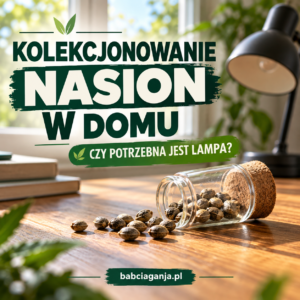 Nasiona marihuany w szklanym pojemniku na drewnianym stole obok lampy – kolekcjonowanie nasion w domu